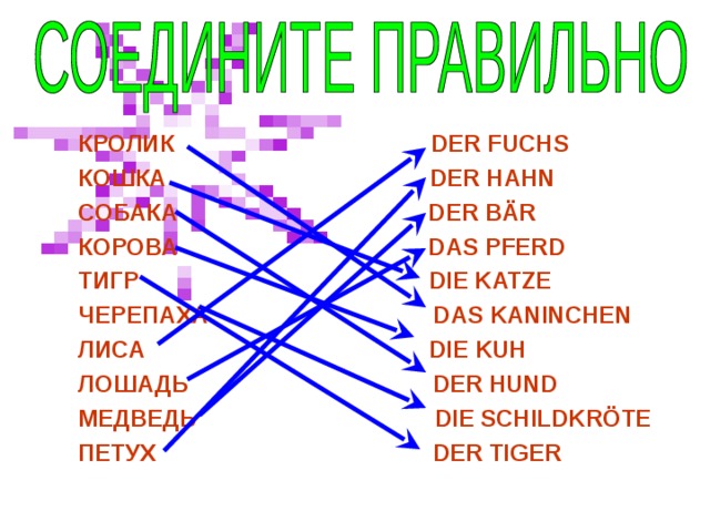 КРОЛИК DER FUCHS КОШКА DER HAHN СОБАКА DER BÄR КОРОВА DAS PFERD ТИГР DIE KATZE ЧЕРЕПАХА DAS KANINCHEN ЛИСА DIE KUH ЛОШАДЬ DER HUND МЕДВЕДЬ DIE SCHILDKRÖTE ПЕТУХ DER TIGER КРОЛИК DER FUCHS КОШКА DER HAHN СОБАКА DER BÄR КОРОВА DAS PFERD ТИГР DIE KATZE ЧЕРЕПАХА DAS KANINCHEN ЛИСА DIE KUH ЛОШАДЬ DER HUND МЕДВЕДЬ DIE SCHILDKRÖTE ПЕТУХ DER TIGER 