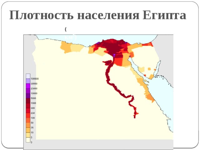 Плотность населения Египта ( человек на км 2 ) 