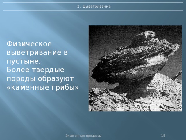 2. Выветривание Физическое выветривание в пустыне.  Более твердые породы образуют «каменные грибы» Экзогенные процессы 14 