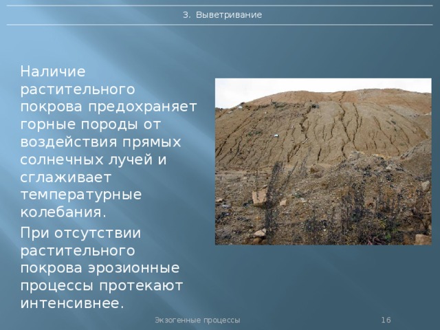 3. Выветривание Наличие растительного покрова предохраняет горные породы от воздействия прямых солнечных лучей и сглаживает температурные колебания. При отсутствии растительного покрова эрозионные процессы протекают интенсивнее. Экзогенные процессы 15 