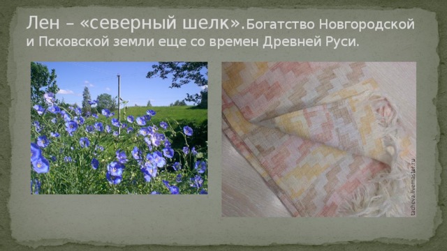 Лен – «северный шелк». Богатство Новгородской и Псковской земли еще со времен Древней Руси. 