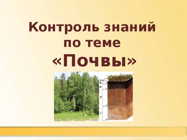 Контроль знаний по теме «Почвы»   
