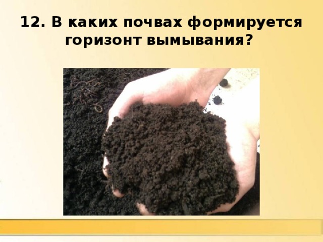 12. В каких почвах формируется горизонт вымывания? В подзолистых и дерново-подзолистых 