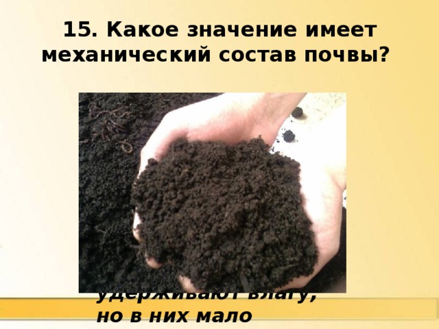 15. Какое значение имеет механический состав почвы? Оказывает влияние на содержание в почве влаги и воздуха.  Песчаные почвы быстро высыхают, глинистые удерживают влагу, но в них мало воздуха 