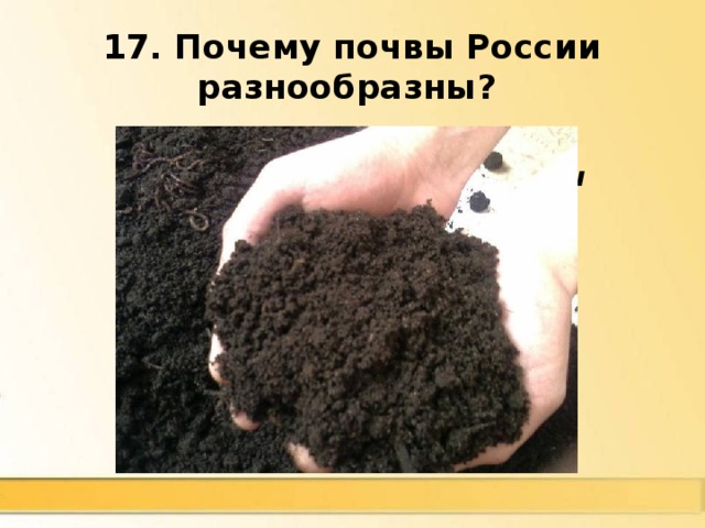 17. Почему почвы России разнообразны?  Разнообразные почвообразующие факторы образуют разные почвы. Поскольку на территории России разные горные породы, климат, растительность, животный мир, уровень грунтовых вод и т. д., то и почвы разнообразны 