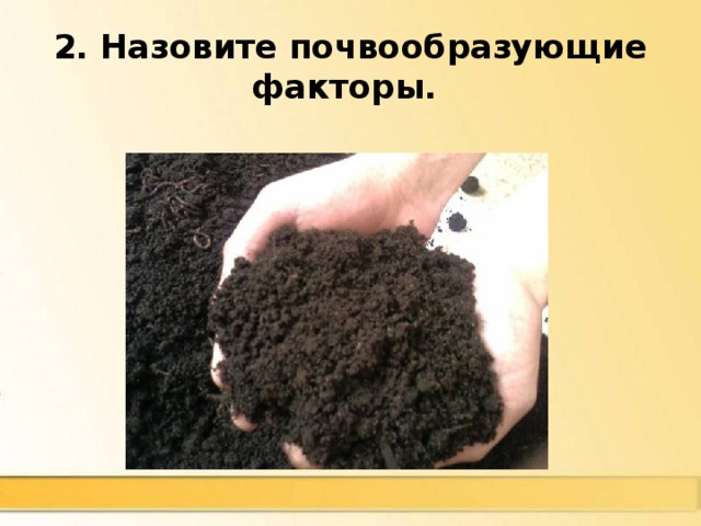 2. Назовите почвообразующие факторы. Горные породы, растительность,  животный мир, климат, грунтовые воды, деятельность человека, рельеф, время 