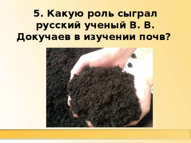 5. Какую роль сыграл русский ученый В. В. Докучаев в изучении почв? Основатель науки почвоведения 