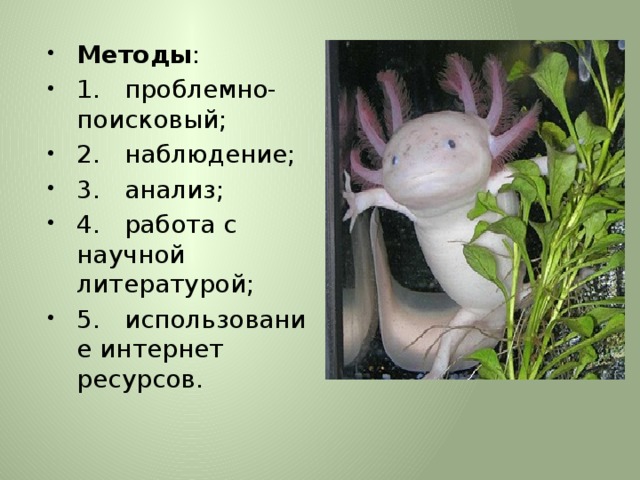 Методы :   1.   проблемно-поисковый; 2.   наблюдение; 3.   анализ; 4.   работа с научной  литературой; 5.   использование интернет ресурсов. 