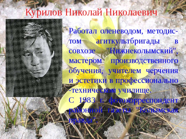 Курилов Николай Николаевич  Работал оленеводом, методис- том агиткультбригады в совхозе 