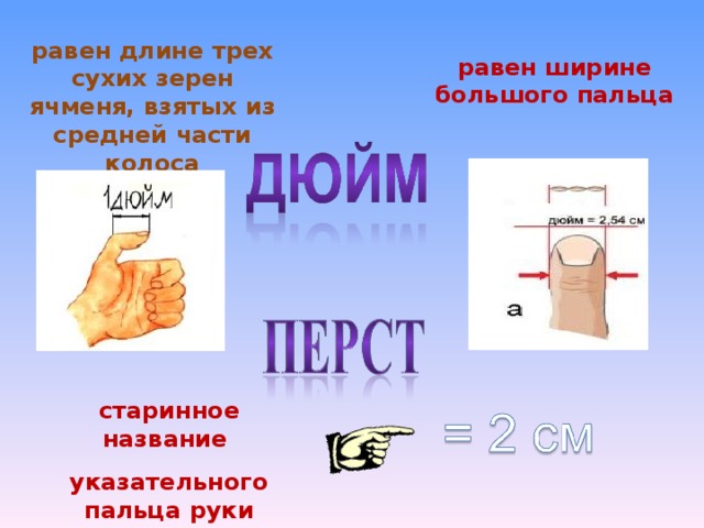 равен длине трех сухих зерен ячменя, взятых из средней части колоса равен ширине большого пальца старинное название указательного пальца руки 