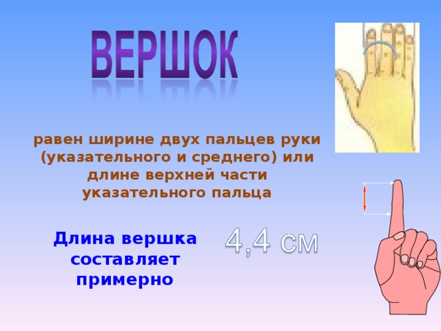 равен ширине двух пальцев руки (указательного и среднего) или длине верхней части указательного пальца Длина вершка составляет примерно 