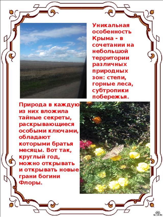 Уникальная особенность Крыма - в сочетании на небольшой территории различных природных зон: степи, горные леса, субтропики побережья. Природа в каждую из них вложила тайные секреты, раскрывающиеся особыми ключами, обладают которыми братья месяцы. Вот так, круглый год, можно открывать и открывать новые грани богини Флоры. 