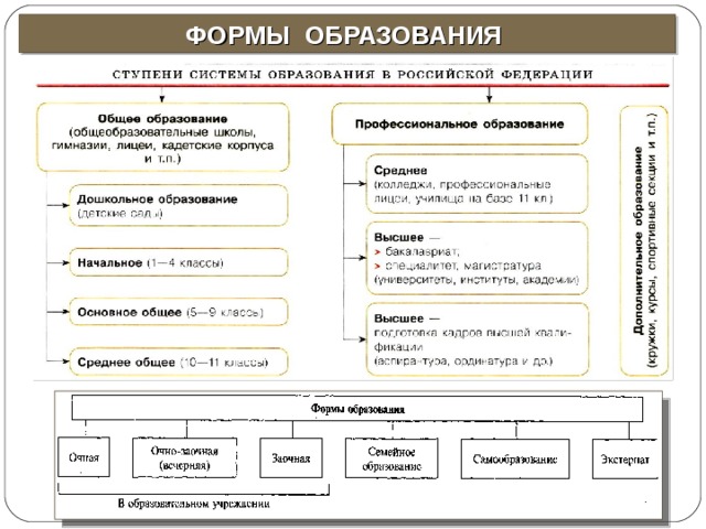 ФОРМЫ ОБРАЗОВАНИЯ 