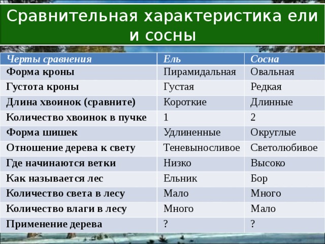 Сравнительная характеристика ели и сосны Черты сравнения Ель Форма кроны Пирамидальная Густота кроны Сосна Густая Овальная Длина хвоинок (сравните) Редкая Короткие Количество хвоинок в пучке 1 Форма шишек Длинные 2 Удлиненные Отношение дерева к свету Теневыносливое Где начинаются ветки Округлые Низко Светолюбивое Как называется лес Ельник Количество света в лесу Высоко Бор Мало Количество влаги в лесу Много Применение дерева Много Мало ? ? 