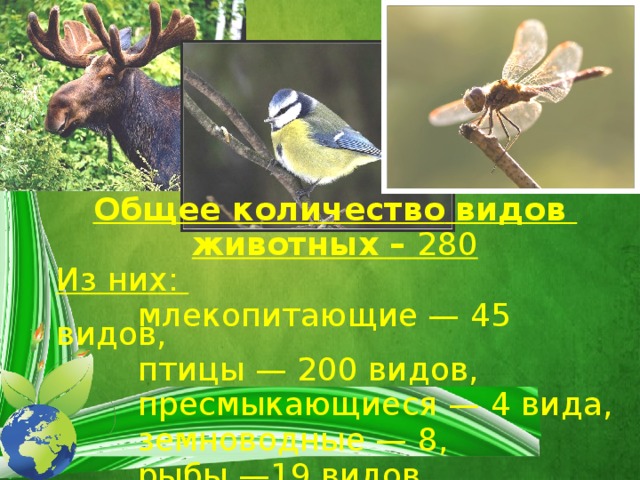 Общее количество  видов животных – 280 Из них:  млекопитающие — 45 видов,  птицы — 200 видов,  пресмыкающиеся — 4 вида,  земноводные — 8,  рыбы —19 видов. 