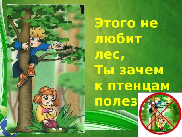 Этого не любит лес,  Ты зачем к птенцам полез 