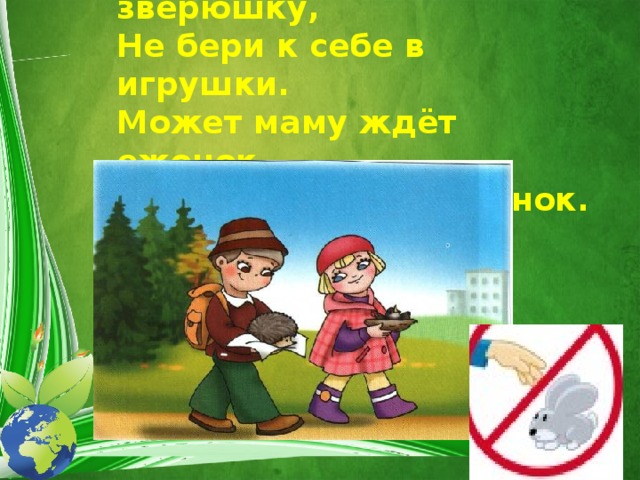 Если встретил ты зверюшку,  Не бери к себе в игрушки.  Может маму ждёт ежонок  Не пугай его с просонок. 