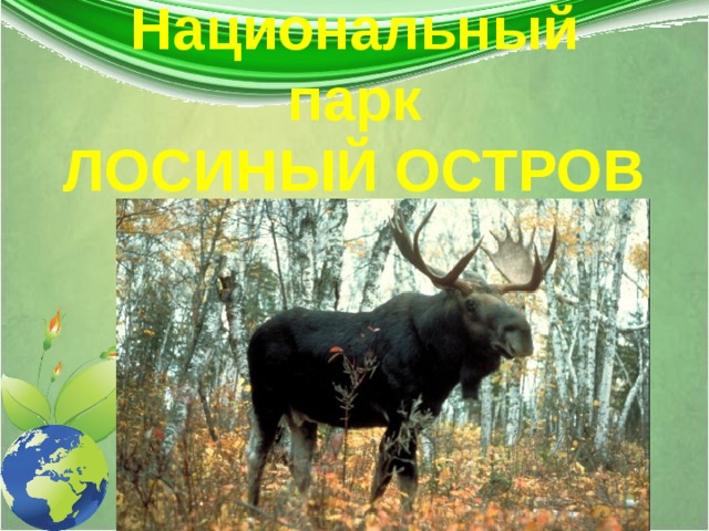 Национальный парк  ЛОСИНЫЙ ОСТРОВ 