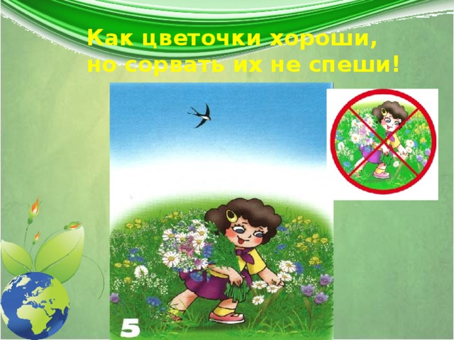 Как цветочки хороши,  но сорвать их не спеши! 
