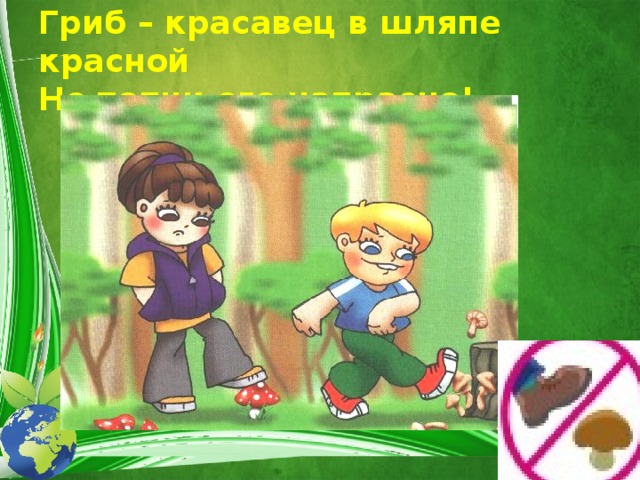 Гриб – красавец в шляпе красной  Не топчи его напрасно! 