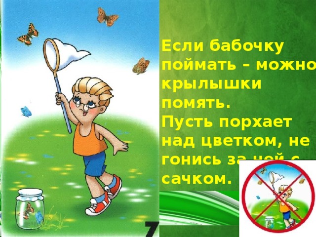 Если бабочку поймать – можно крылышки помять.  Пусть порхает над цветком, не гонись за ней с сачком. 