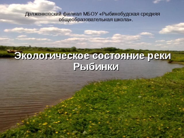 Долженковский филиал МБОУ «Рыбинобудская средняя общеобразовательная школа».   Экологическое состояние реки Рыбинки  
