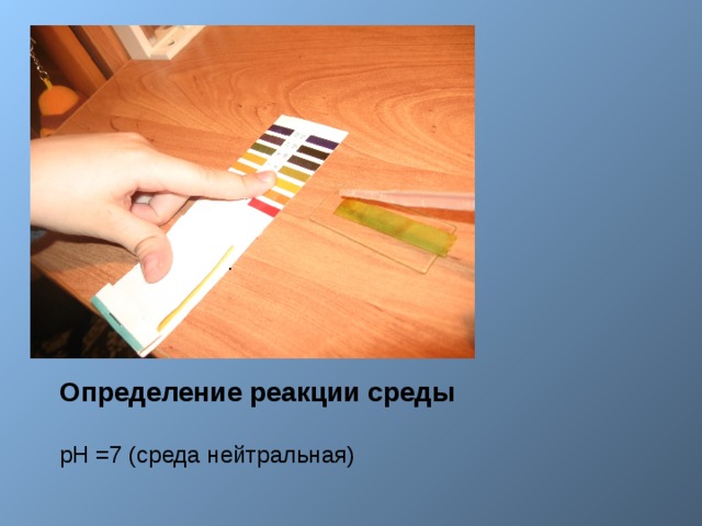. Определение реакции среды  рН =7 (среда нейтральная) 