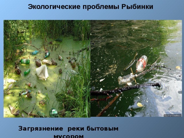 Экологические проблемы Рыбинки Загрязнение реки бытовым мусором 