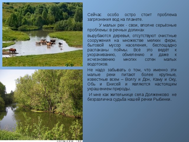 Сейчас особо остро стоит проблема загрязнения вод на планете.  У малых рек - свои, вполне серьёзные проблемы: в речных долинах вырубаются деревья, отсутствуют очистные сооружения на множестве мелких ферм, бытовой мусор населения, беспощадно распаханы поймы. Всё это ведёт к укорачиванию, обмелению и даже к исчезновению многих сотен малых водотоков. Не надо забывать о том, что именно эти малые реки питают более крупные, известные всем – Волгу и Дон, Каму и Оку, Обь и Енисей и являются настоящим украшением природы.  И мне как жительнице села Долженково не безразлична судьба нашей речки Рыбинки.  