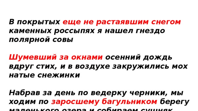 В покры­тых еще не рас­та­яв­шим сне­гом камен­ных рос­сы­пях я нашел гнез­до поляр­ной совы  Шумевший за окна­ми осен­ний дождь вдруг стих, и в воз­ду­хе закру­жи­лись мох­на­тые сне­жин­ки  Набрав за день по ведер­ку чер­ни­ки, мы ходим  по зарос­ше­му багуль­ни­ком бере­гу малень­ко­го озе­ра и соби­ра­ем суш­няк для вечер­не­го костра  
