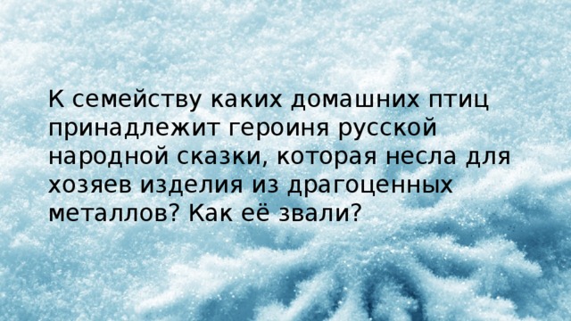 К семейству каких домашних птиц принадлежит героиня русской народной сказки, которая несла для хозяев изделия из драгоценных металлов? Как её звали? 