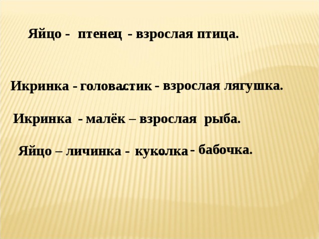 Яйцо - … - взрослая птица. птенец - взрослая лягушка. Икринка - … головастик - малёк – взрослая рыба. Икринка - бабочка. Яйцо – личинка - … куколка 