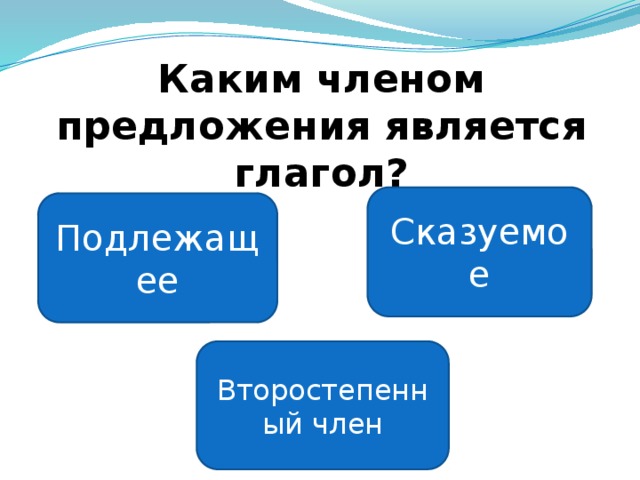 Каким членом предложения является глагол?   Сказуемое Подлежащее Второстепенный член 