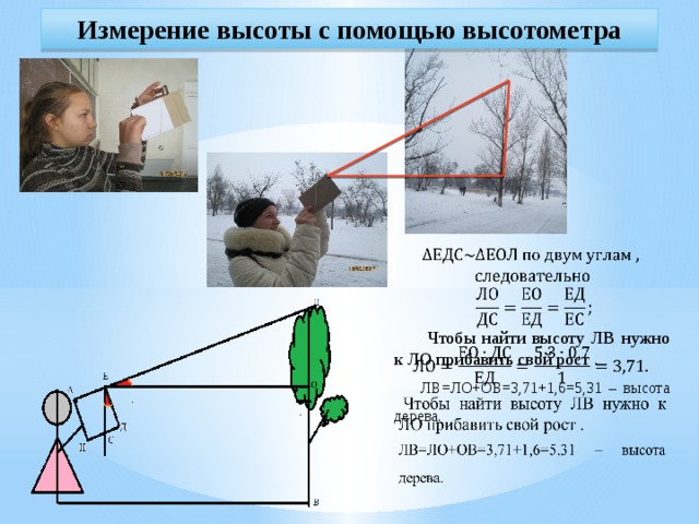 Измерение высоты с помощью высотометра      Чтобы найти высоту ЛВ нужно к ЛО прибавить свой рост . ЛВ=ЛО+ОВ=3,71+1,6=5,31 – высота дерева.