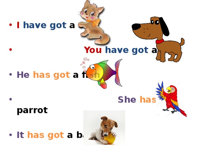 I  have got a cat   You  have got a dog  He  has got a fish   She  has got a parrot  It  has got a ball 