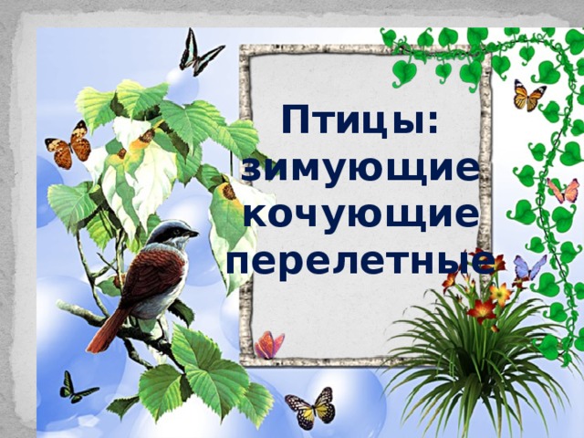 Птицы: зимующие кочующие перелетные  