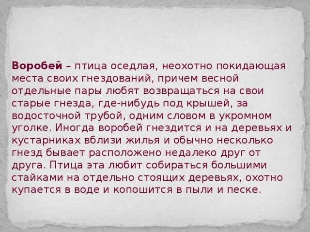 Воробей – птица оседлая, неохотно покидающая места своих гнездований, причем весной отдельные пары любят возвращаться на свои старые гнезда, где-нибудь под крышей, за водосточной трубой, одним словом в укромном уголке. Иногда воробей гнездится и на деревьях и кустарниках вблизи жилья и обычно несколько гнезд бывает расположено недалеко друг от друга. Птица эта любит собираться большими стайками на отдельно стоящих деревьях, охотно купается в воде и копошится в пыли и песке. 
