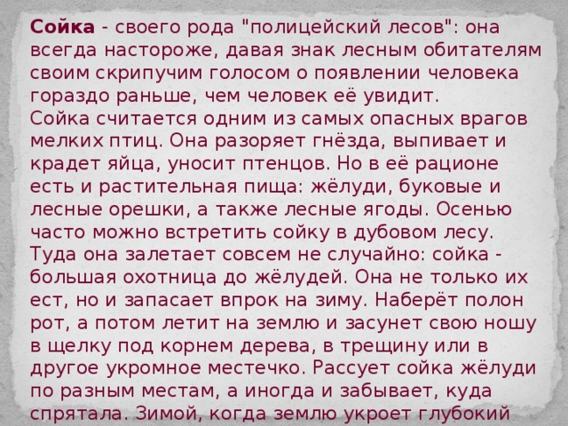 Сойка - своего рода 