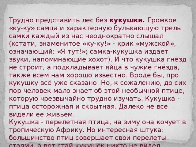 Трудно представить лес без кукушки. Громкое «ку-ку» самца и характерную булькающую трель самки каждый из нас неоднократно слышал (кстати, знаменитое «ку-ку!» - крик «мужской», означающий: «Я тут!»; самка-кукушка издаёт звуки, напоминающие хохот). И что кукушка гнёзд не строит, а подкладывает яйца в чужие гнёзда, также всем нам хорошо известно. Вроде бы, про кукушку всё уже сказано. Но, к сожалению, до сих пор человек мало знает об этой необычной птице, которую чрезвычайно трудно изучать. Кукушка - птица осторожная и скрытная. Далеко не все видели ее живьем. Кукушка - перелетная птица, на зиму она кочует в тропическую Африку. Но интересная штука: большинство птиц совершает свои перелеты стаями, а вот стай кукушек никто не видел. Осенью они незаметно исчезают, старшее поколение раньше, молодые позже. Летят обычно по ночам и, вероятнее всего, в одиночку. 