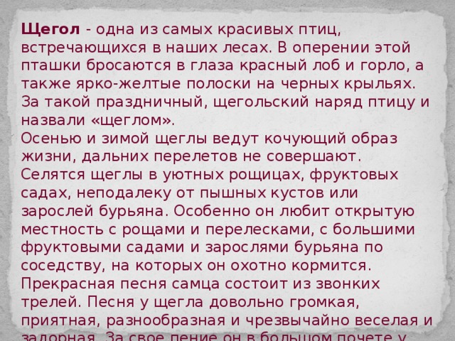 Щегол - одна из самых красивых птиц, встречающихся в наших лесах. В оперении этой пташки бросаются в глаза красный лоб и горло, а также ярко-желтые полоски на черных крыльях. За такой праздничный, щегольский наряд птицу и назвали «щеглом». Осенью и зимой щеглы ведут кочующий образ жизни, дальних перелетов не совершают. Селятся щеглы в уютных рощицах, фруктовых садах, неподалеку от пышных кустов или зарослей бурьяна. Особенно он любит открытую местность с рощами и перелесками, с большими фруктовыми садами и зарослями бурьяна по соседству, на которых он охотно кормится. Прекрасная песня самца состоит из звонких трелей. Песня у щегла довольно громкая, приятная, разнообразная и чрезвычайно веселая и задорная. За свое пение он в большом почете у любителей певчих птиц. Выразить песню щегла словами очень трудно. Она представляет собой довольно пестрый набор совершенно своеобразных звуков. Щегол поет ее, сидя на ветке или на вершине высокого куста. Поющий щегол во время пения ведет себя подобно канарейке, поворачиваясь вправо и влево. 