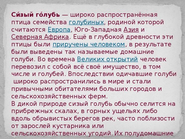 Си́зый го́лубь  — широко распространённая птица семейства голубиных , родиной которой считаются Европа , Юго-Западная Азия и Северная Африка . Ещё в глубокой древности эти птицы были приручены человеком , в результате были выведены так называемые домашние голуби. Во времена Великих открытий человек перевозил с собой всё своё имущество, в том числе и голубей. Впоследствии одичавшие голуби широко распространились в мире и стали привычными обитателями больших городов и сельскохозяйственных ферм. В дикой природе сизый голубь обычно селится на прибрежных скалах, в горных ущельях либо вдоль обрывистых берегов рек, часто поблизости от зарослей кустарника или сельскохозяйственных угодий.  Их полудомашние потомки легко адаптировались к жизни возле человеческого жилья, поскольку каменные постройки напоминают природные места обитания, а пищевые отходы служат надёжной кормовой базой в любое время года. 
