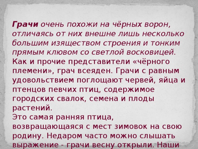 Грачи очень похожи на чёрных ворон, отличаясь от них внешне лишь несколько большим изяществом строения и тонким прямым клювом со светлой восковицей. Как и прочие представители «чёрного племени», грач всеяден. Грачи с равным удовольствием поглощают червей, яйца и птенцов певчих птиц, содержимое городских свалок, семена и плоды растений. Это самая ранняя птица, возвращающаяся с мест зимовок на свою родину. Недаром часто можно слышать выражение - грачи весну открыли. Наши грачи, живущие в средней полосе, появляются весной между 4 и 23 марта. 