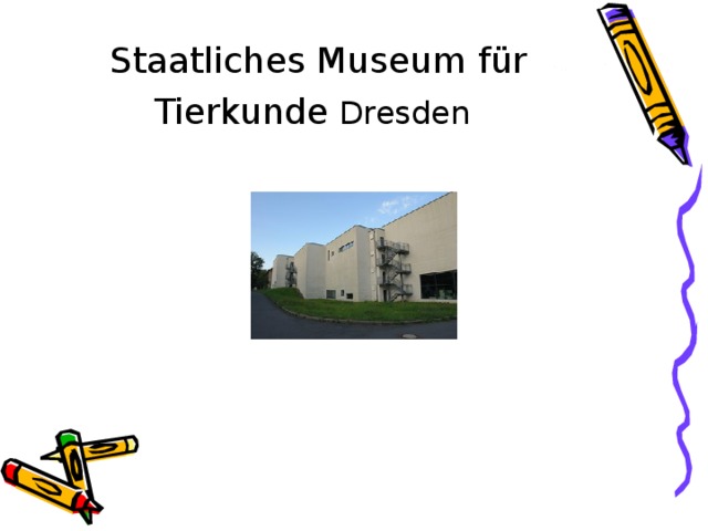 S taatliches Museum für Tierkunde Dresden  
