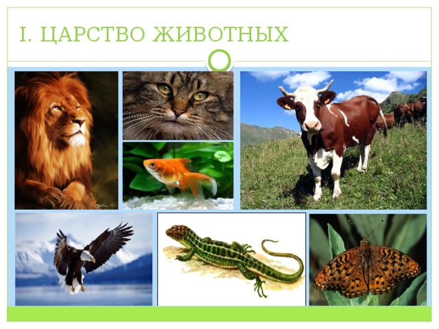 I. ЦАРСТВО ЖИВОТНЫХ 