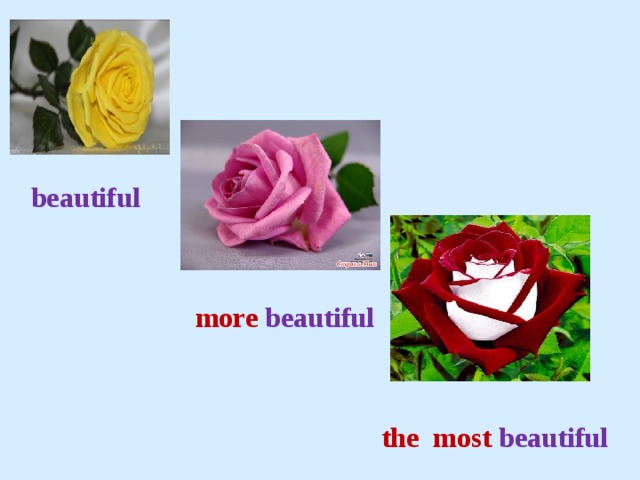  beautiful  more beautiful  the most beautiful 