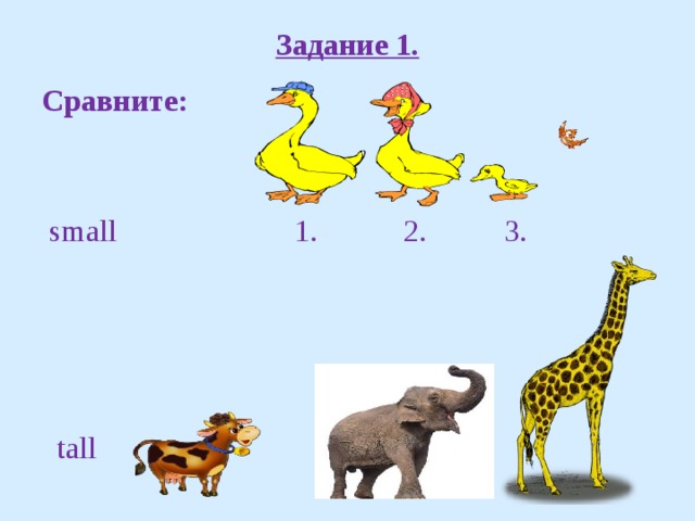 Задание 1. Сравните:  small 1. 2. 3.    tall  