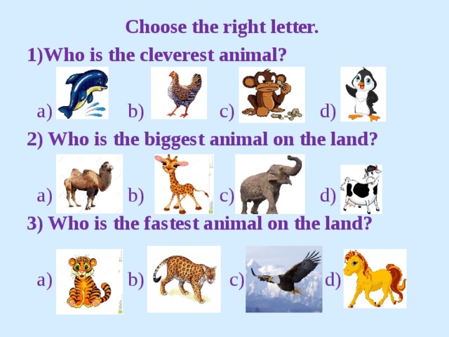 Choose the right letter. 1)Who is the cleverest animal?  a) b) c) d) 2) Who is the biggest animal on the land?  a) b) c) d) 3) Who is the fastest animal on the land?  a) b) c) d) 