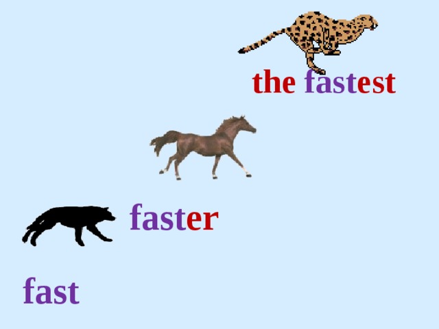  the  fast est     fast er  fast 