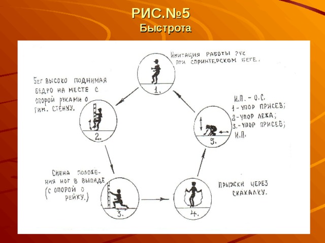 РИС.№5  Быстрота 