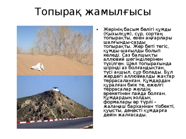 Топырақ жамылғысы   Жерінің басым бөлігі құмды (Қызылқұм), сұр, сортаң топырақты, өзен аңғарлары шалғынды-сазды топырақты. Жер беті тегіс, құмды-шағылды болып келеді. Саз балшықты аллювий шөгінділерінен түзілген. Шөл топырағында шірінді аз болғандықтан, түсі ақшыл, сұр болады. Бұл жердегі аллювиалды жақтар террасаланған. Құмдардан құралған биік те, ежелгі террасалар желдің әрекетінен пайда болған. Құмдардың эолдық формалары әр түрлі – жалаңаш барханнан тізбекті, қуысты, дөңесті құмдарға дейін жалғасады. 